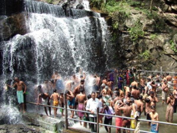 சுருளி அருவி