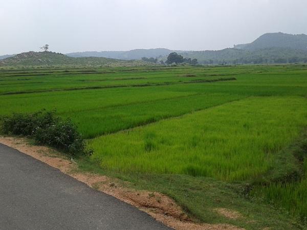 பொகரோ