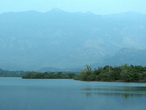 பேச்சிப்பாறை