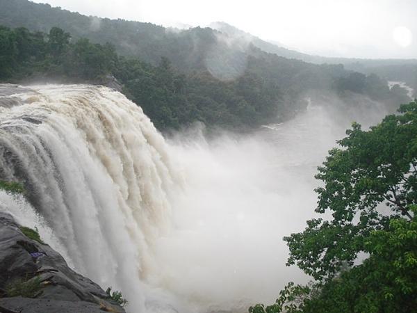 ரம்மியமான வனப்பகுதி
