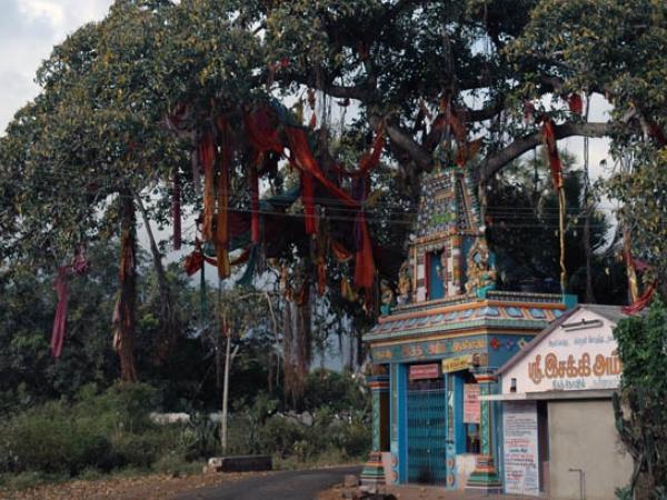 தென்காசி