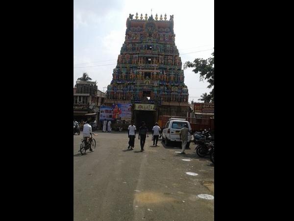 விழாக்கள்