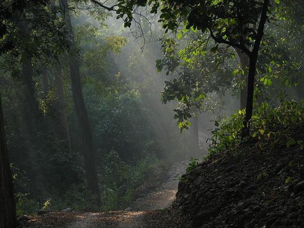 மோரியில் மலையேற்றம்