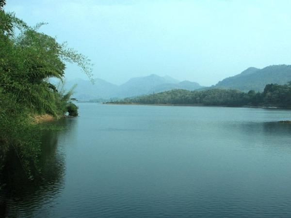 ஆற்றங்கரை செடிகள்