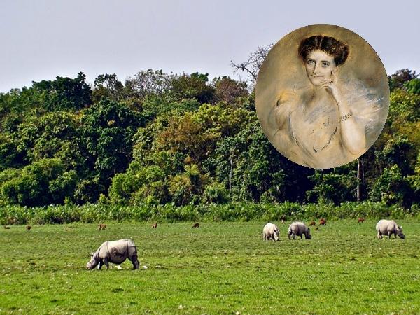காசிரங்கா தேசியப் பூங்கா