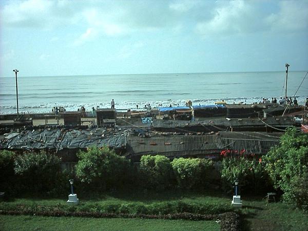 கேஷுவரீனா