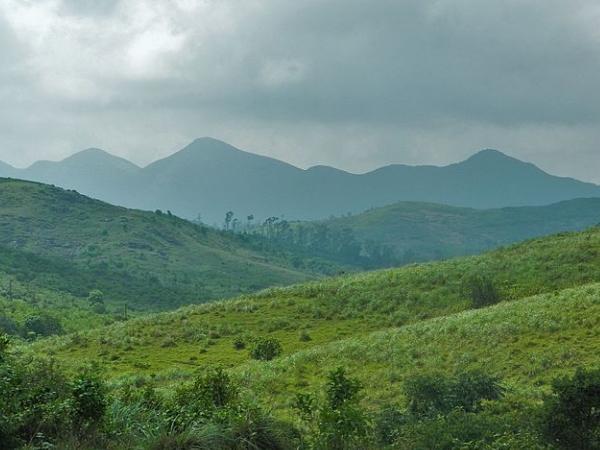 வாகமன்
