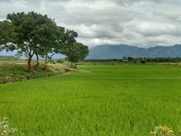 அருகிலுள்ள சுற்றுலாத் தளங்கள்
