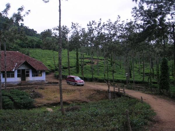 திருவிதாங்கூர் ராஜ வம்சத்தின் தளம்