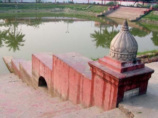 வித்தியாசமான உணவு வகைகள்
