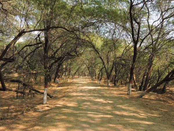 விலங்கியல் பூங்காக்கள்