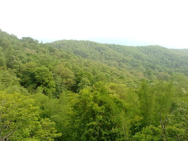 பரம்பிக்குளம் வனவிலங்கு சரணாலயம்