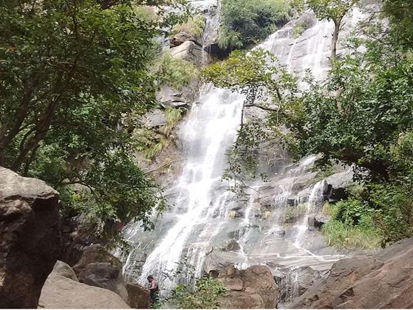 தடாகை அம்மன்