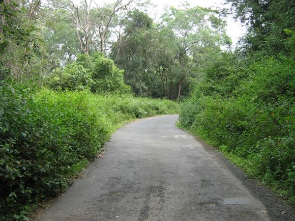 கோயம்புத்தூர் - அத்திக்கடவு