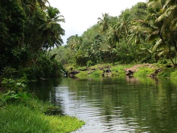 தொழில்கள்