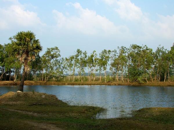 குளம்