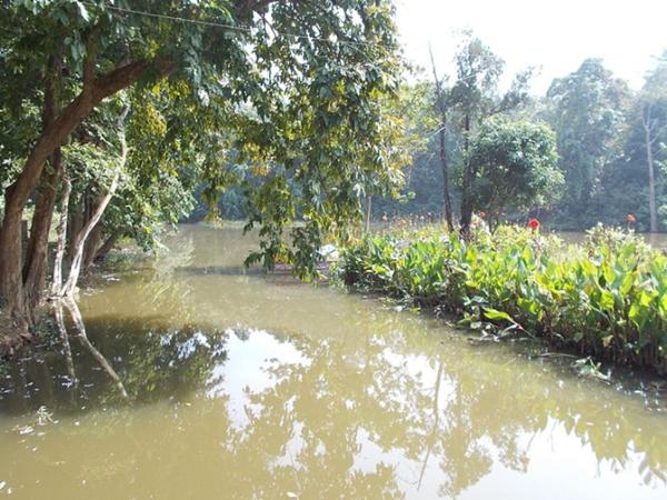 ஹஜாரிபாக்