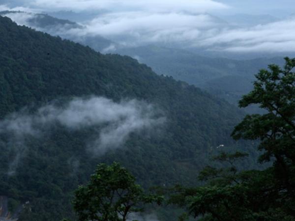நீலிமலா மலைக்காட்சி தளம்