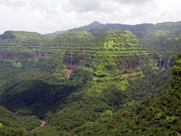 பரளிக்காடு