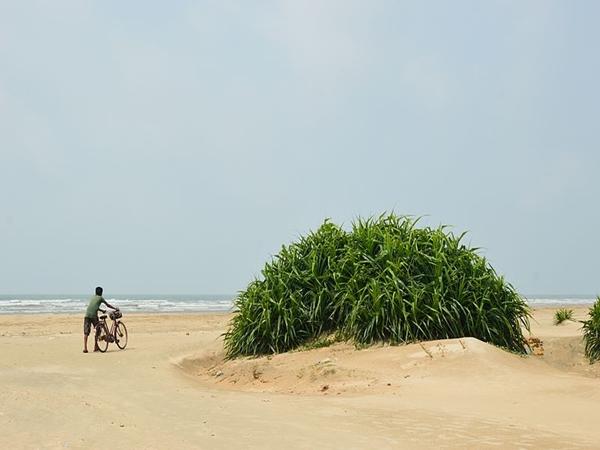 தாஜ்பூர் கடற்கரை