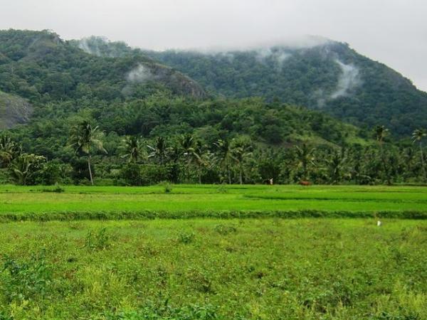 களக்காடு முண்டந்துறை புலிகள் காப்பகம்