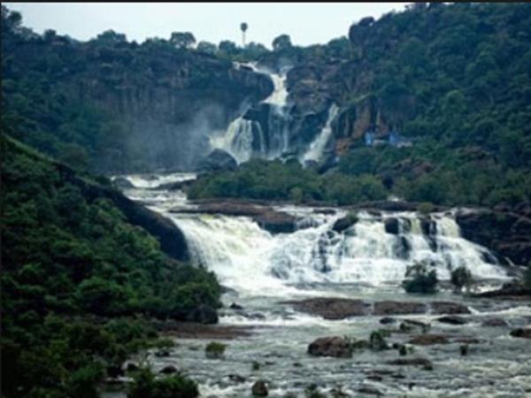 கோதையாறு நீர்வீழ்ச்சி