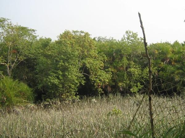 மூர்த்தி