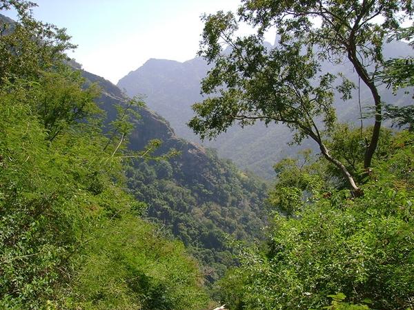 கொல்லிமலை