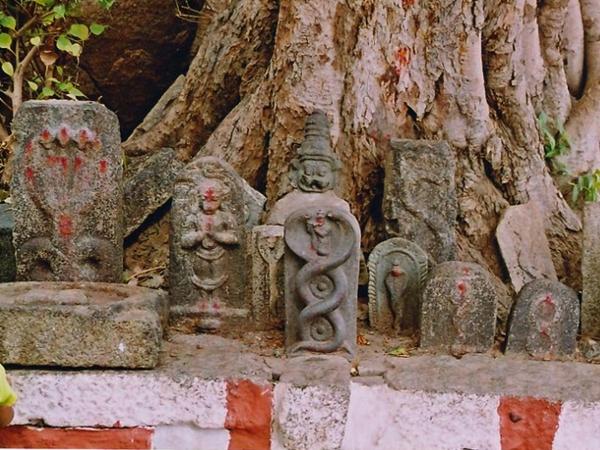 ஒரு வேலை அப்படி இருக்குமோ ?