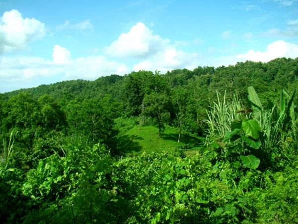 செல்வச் செலுமைமிக்க திரிபுரா