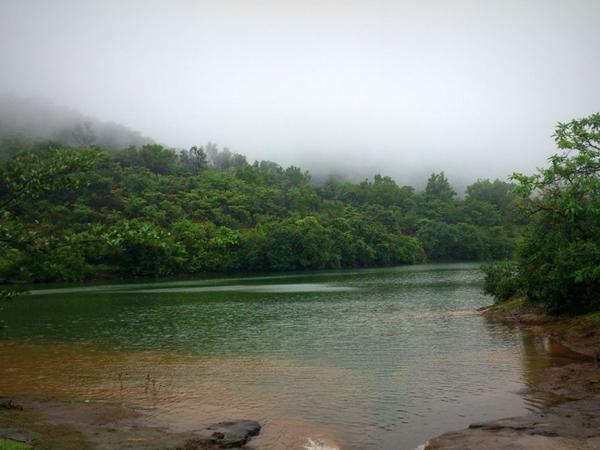 இயற்கை குடில்கொண்ட புஷி