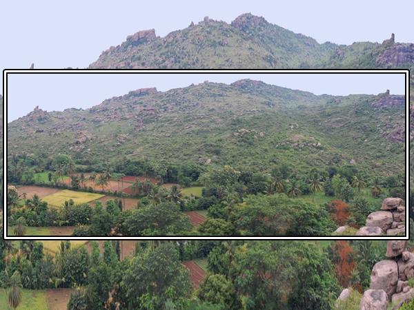 பாலமதி