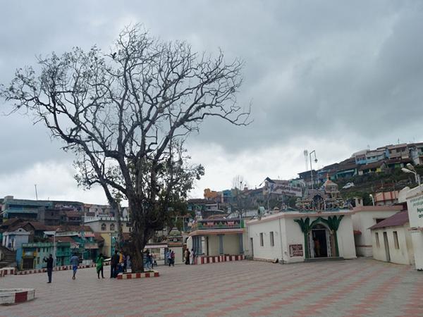 பூம்பாறை