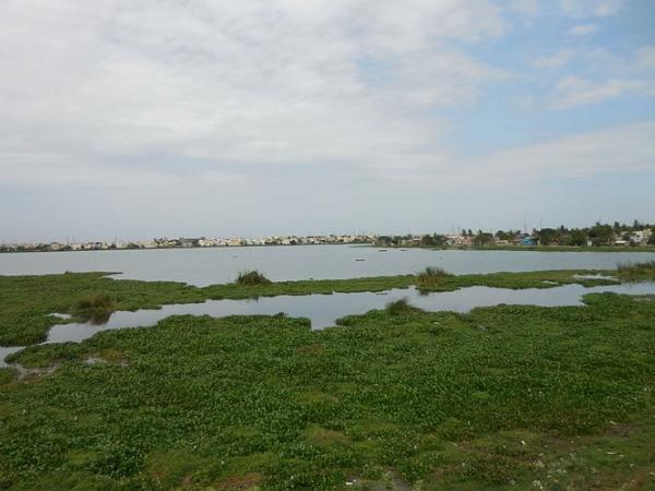 அம்பத்தூர் ஏரி