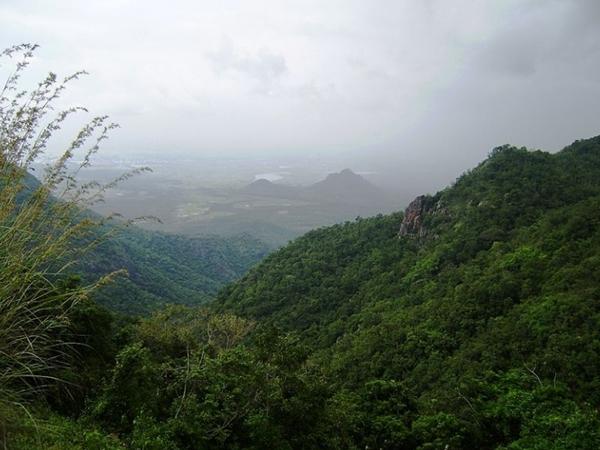 ஓடும் மூலிகையை பிடித்துக் காட்டிய சித்தர்