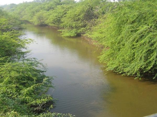 பக்கிங்கம் கால்வாய் சுத்தமாக