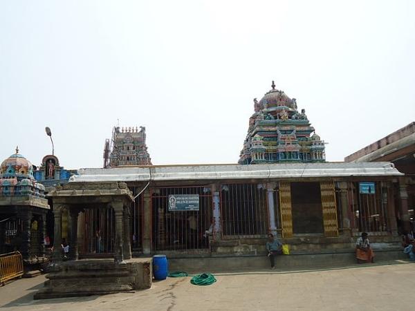 பிணிநீக்கும் விசம்