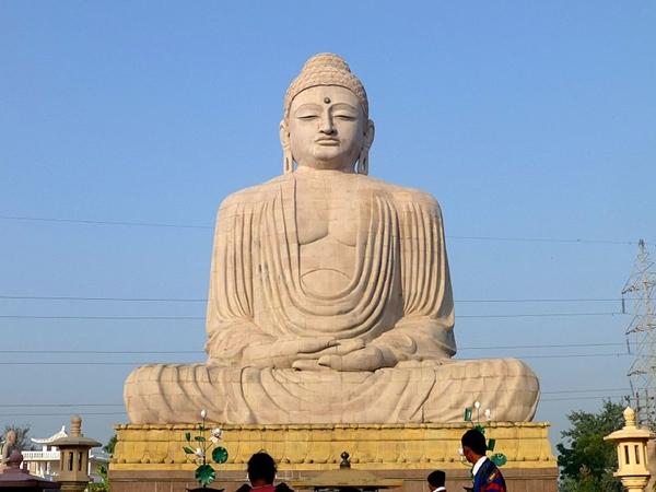 போதி மரம்