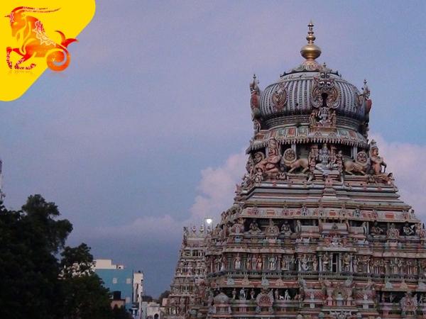 வீரராகவப் பெருமாள் - மகரம்