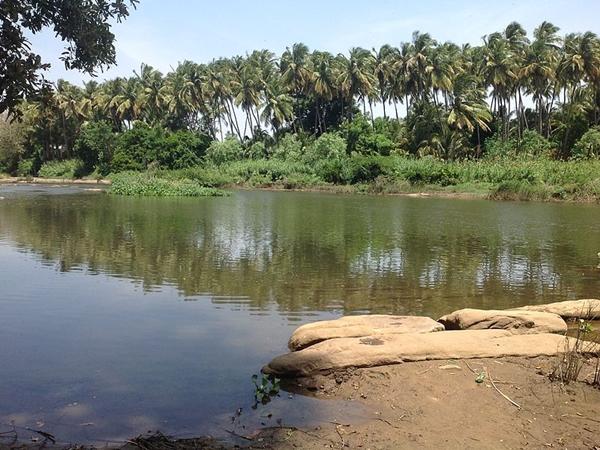 அமராவதி ஆறு