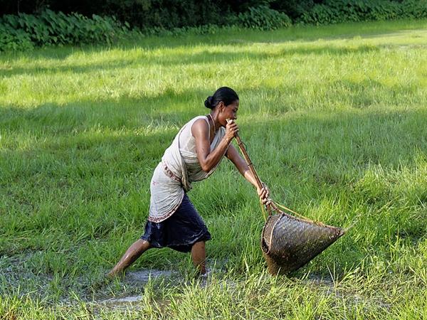 கேரள மாநிலத்தில் இருக்கும் மீன் பிடி முகாம்கள்