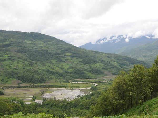 ஏரியில் வாழும் ராணி