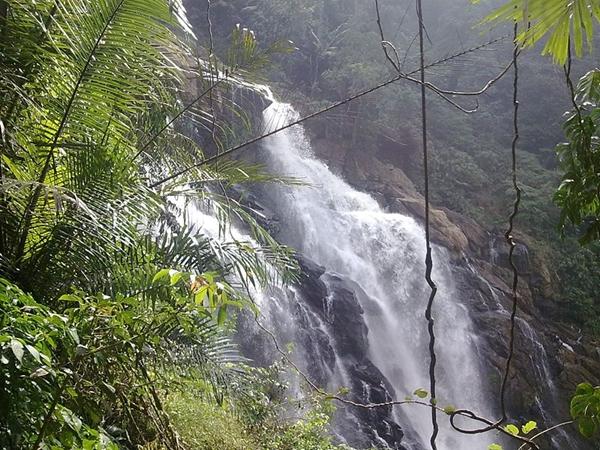 சூச்சிப்பாறா வயநாடு