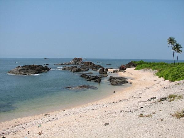 வாஸ்கோட காமா