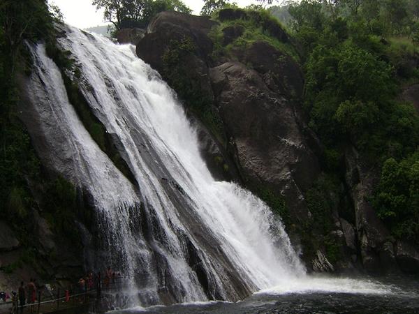 நோய் தீர்க்கும் மூலிகை அருவி