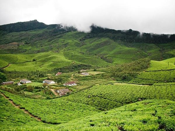 தேவிகுளம்