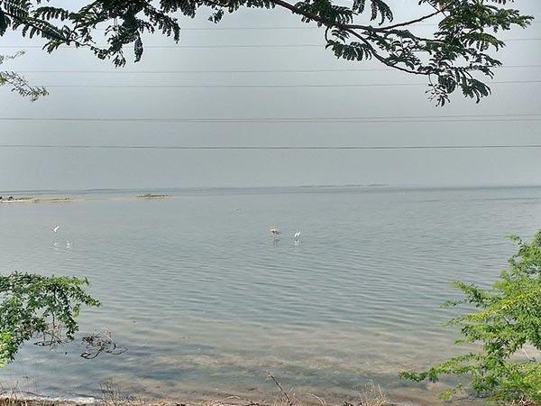 பழவேற்காட்டில் காணவேண்டிய பகுதிகள் :