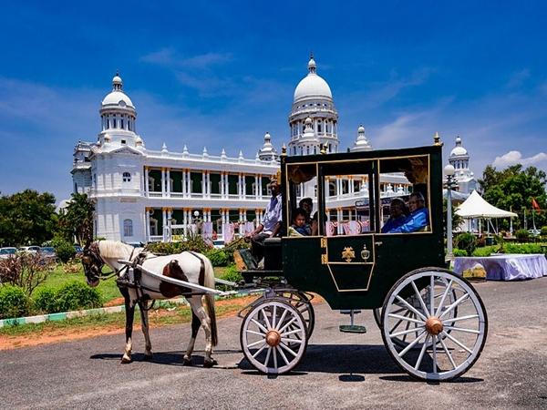 ரீஜனல் மியூசியம் ஆப் நேச்சுரல் ஹிஸ்டரி