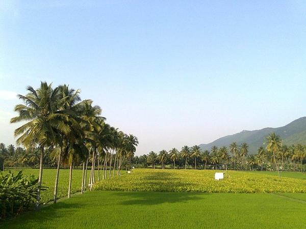 சேலம்