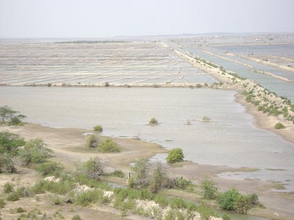 வேதாரண்யம்